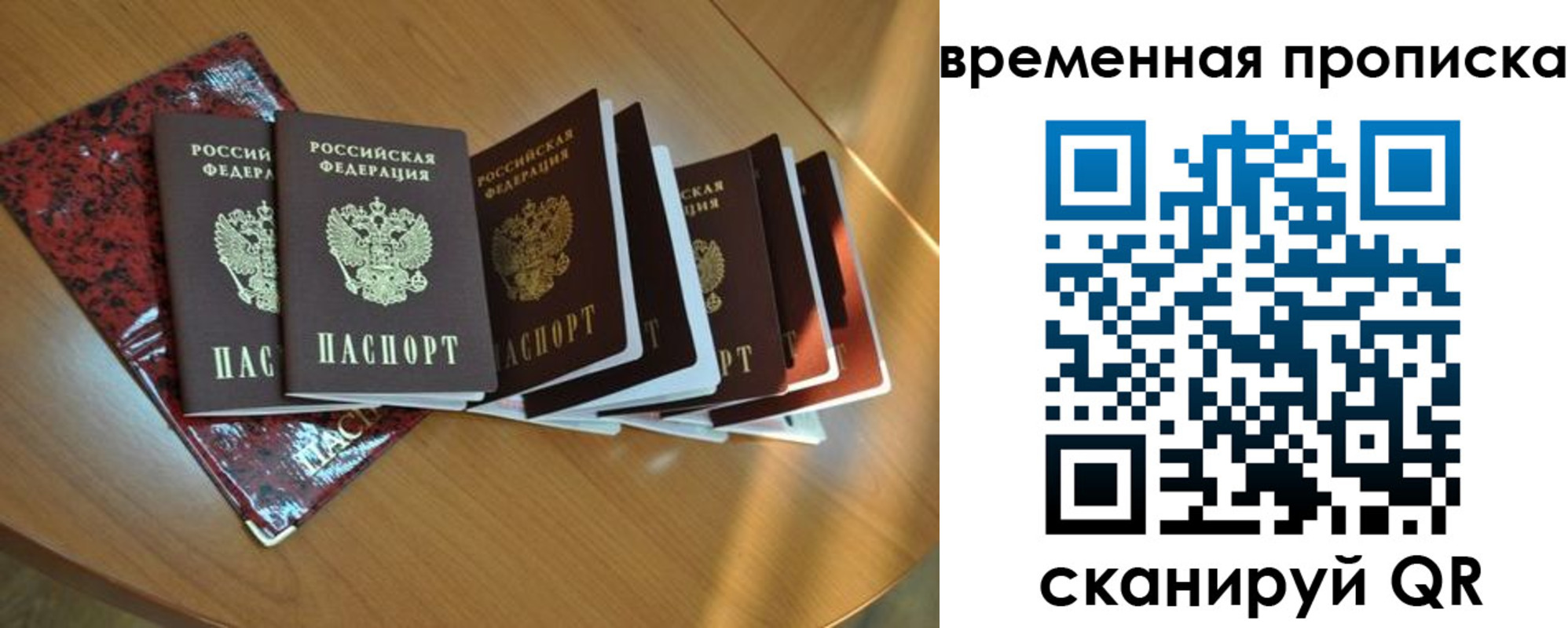 прописка в Стародубе